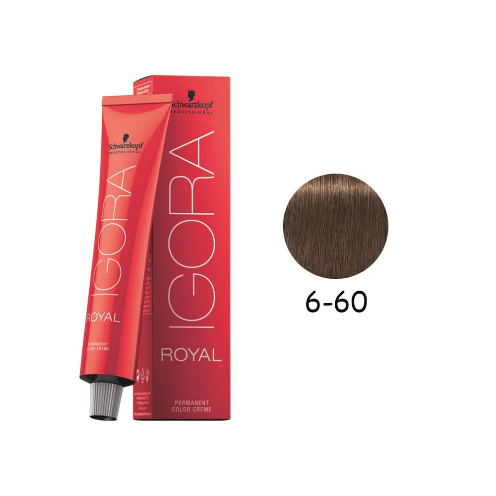 رنگ مو بور تیره شکلاتی ایگورا شماره 60-6 Igora
